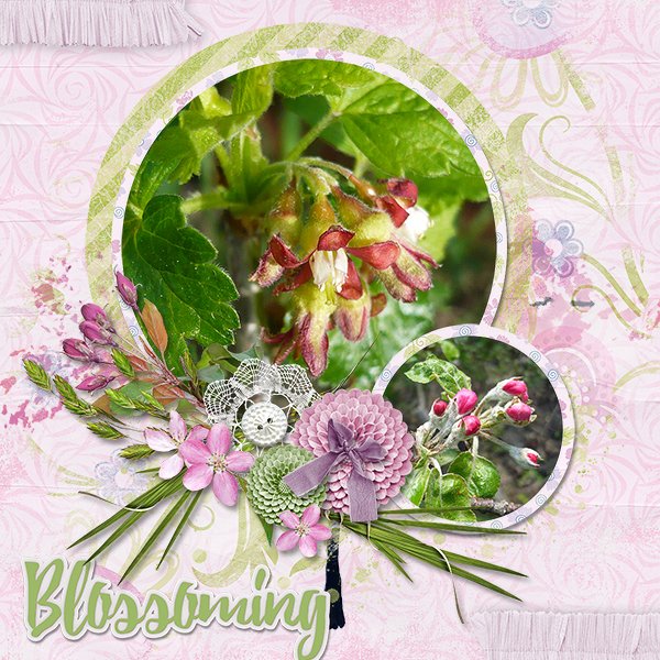 Blossoming_ollitko_600.jpg