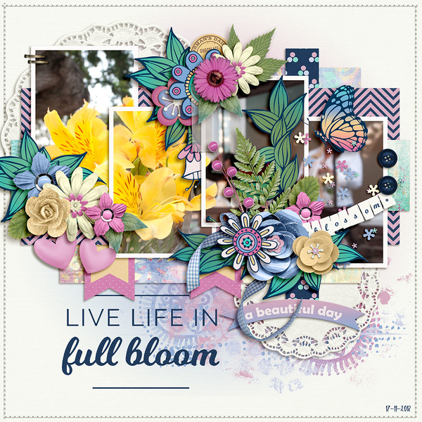 blossomjbstudio1-1000
