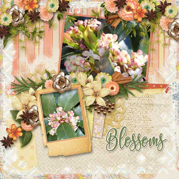 Blossoms