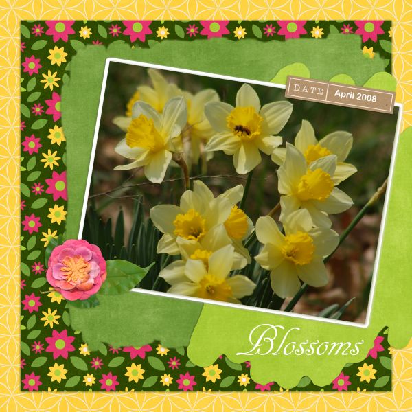 Blossoms