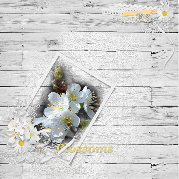 Blossoms