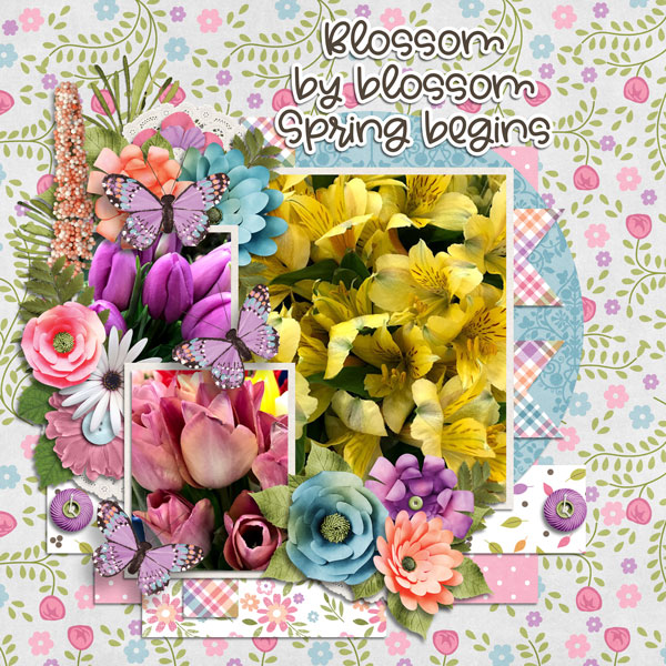 blossoms