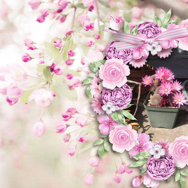 Blossoms