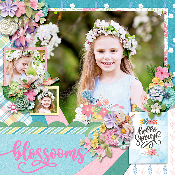 Blossoms