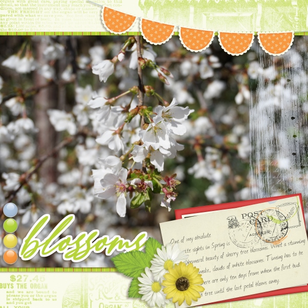 Blossoms