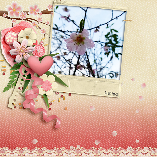 Blossoms