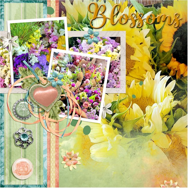 Blossoms