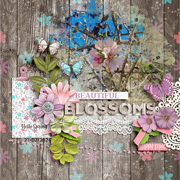Blossoms
