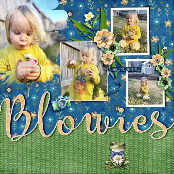 Blowies