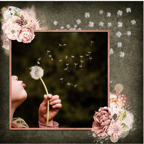 Blowing Dandelions