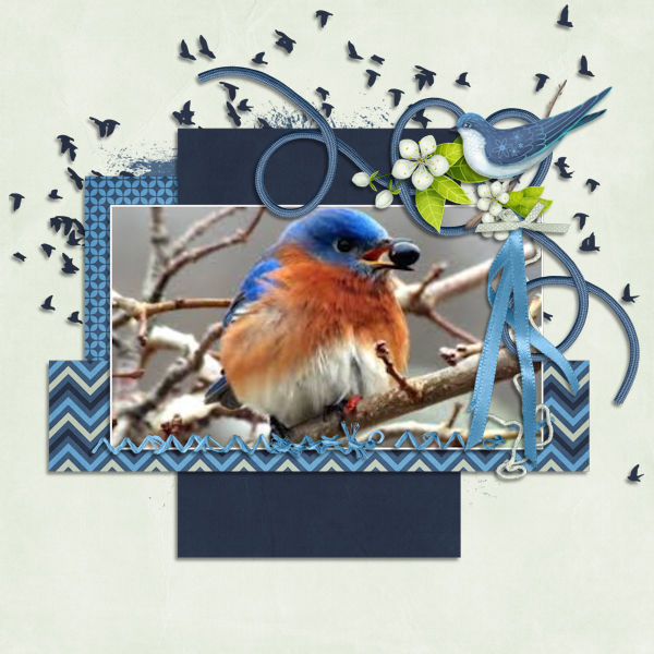 Blue Bird