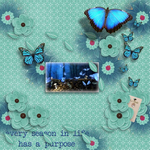 Blue Butterflies