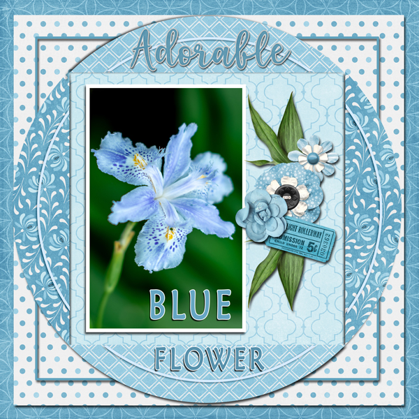 Blue Flower