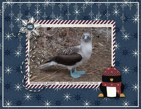 Blue-Footed Boobie