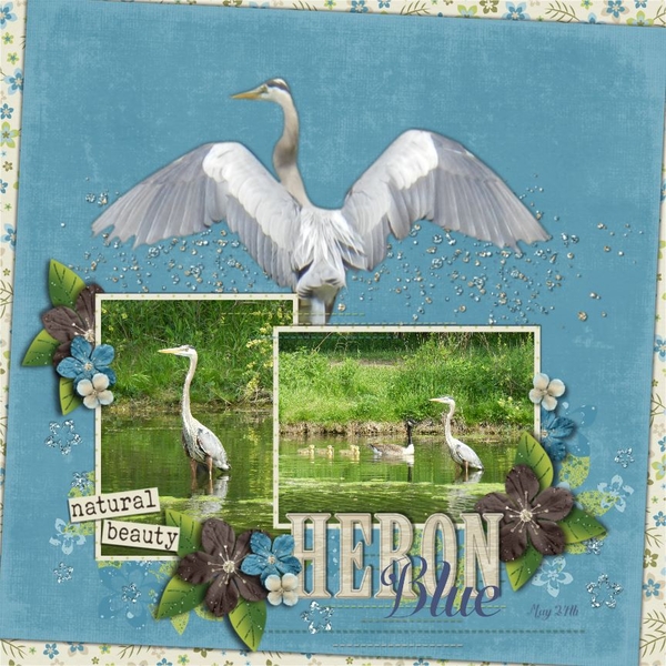 Blue Heron