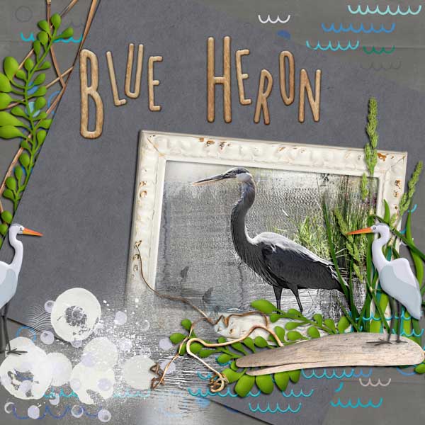 Blue Heron