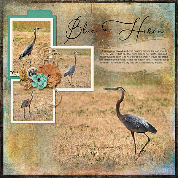 Blue Heron