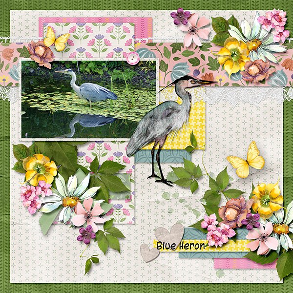 Blue Heron