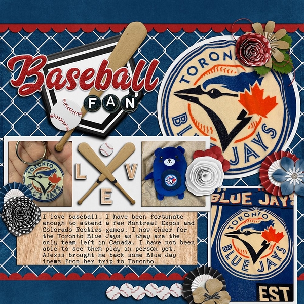Blue Jays Baseball Fan