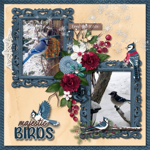 Blue Jays