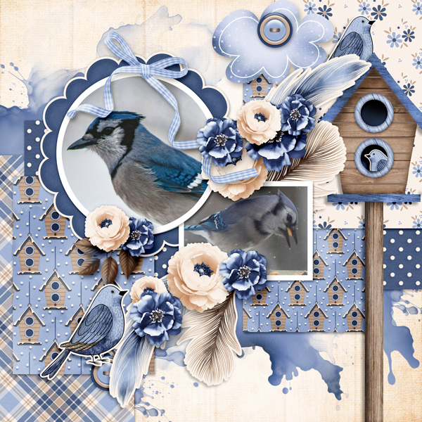 Blue Jays