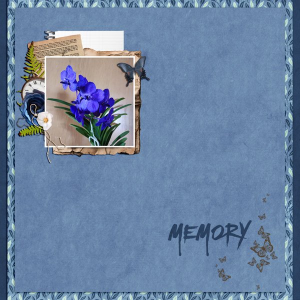 blue orchids