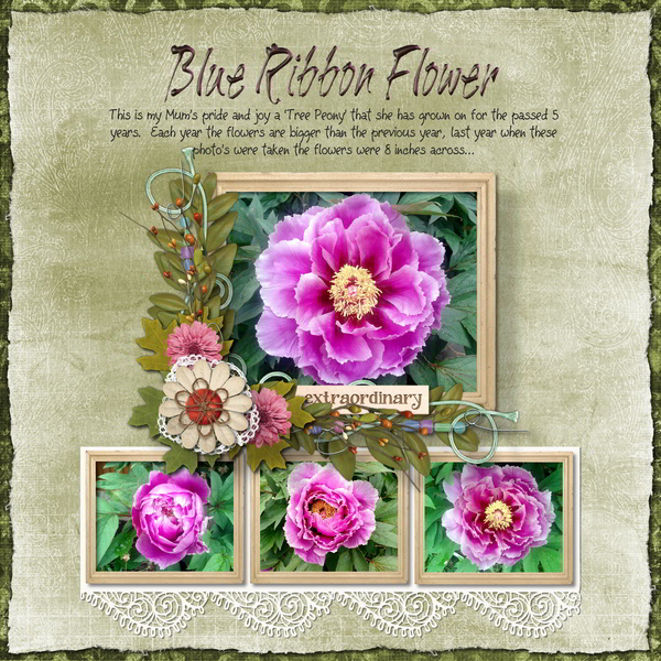 Blue Ribbon Flower...