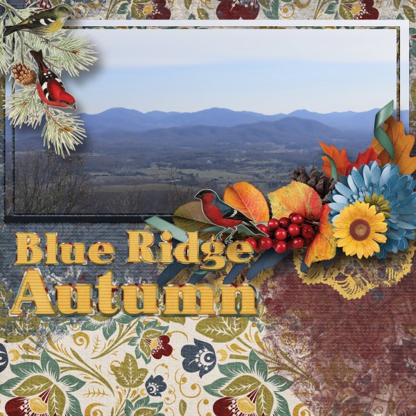 Blue Ridge Autumn
