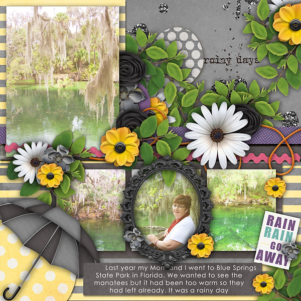Blue Springs State Park Florida