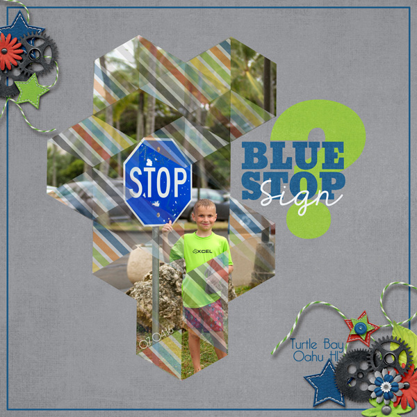 Blue Stop Sign