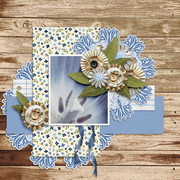 Blue Tulip