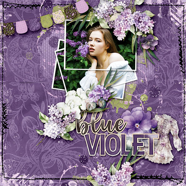 Blue Violet