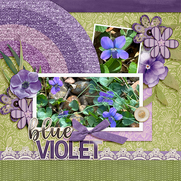 Blue Violets