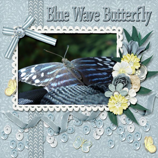 Blue Wave Butterfly small.jpg