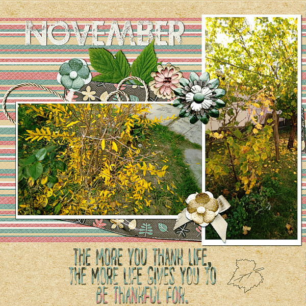 Blue_Heart_Scraps_2018_Novb