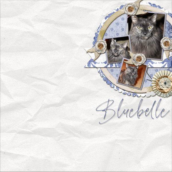 Bluebelle