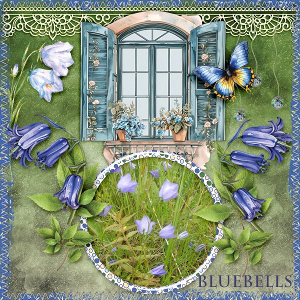 Bluebells.jpg