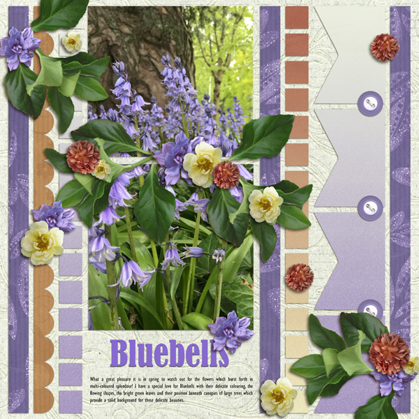 Bluebells