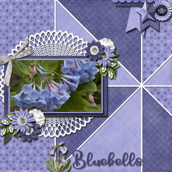 Bluebells