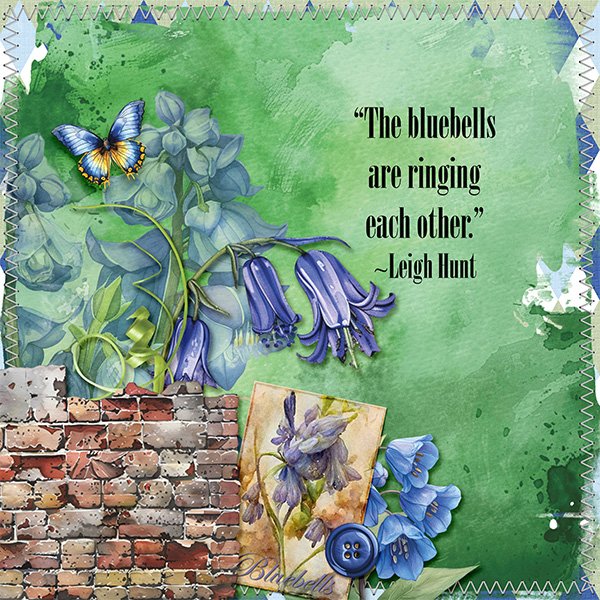 Bluebells