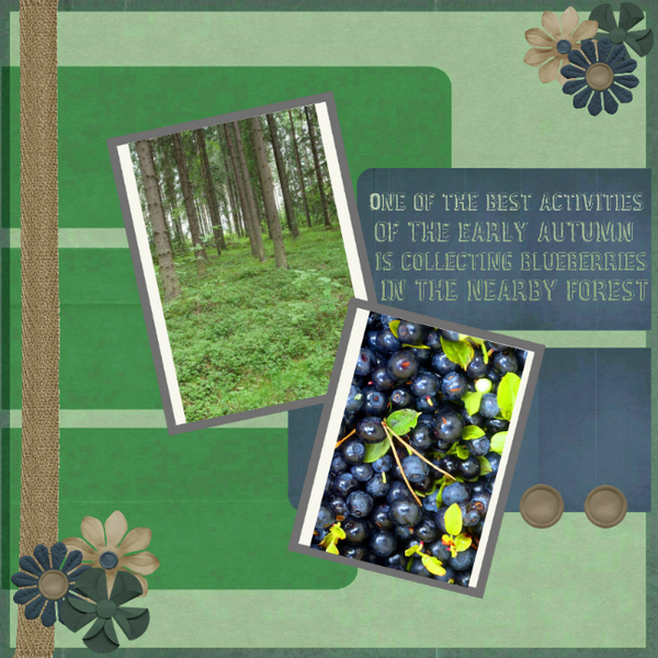 Blueberries