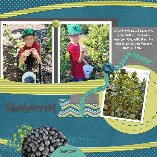 blueberries