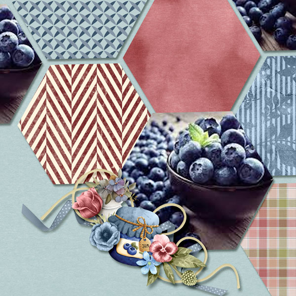 Blueberries