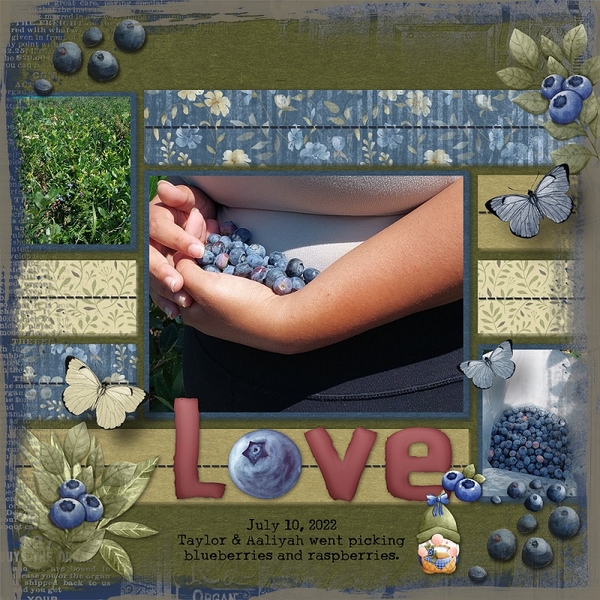 Blueberries