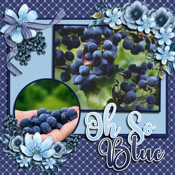 Blueberries