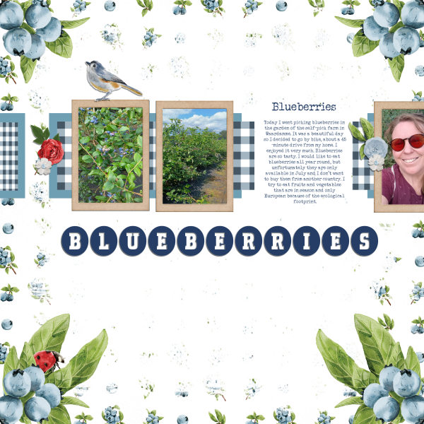 Blueberries