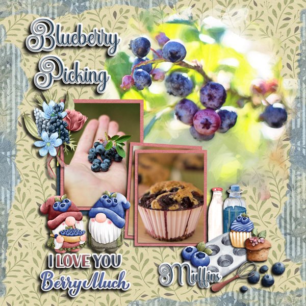 Blueberries