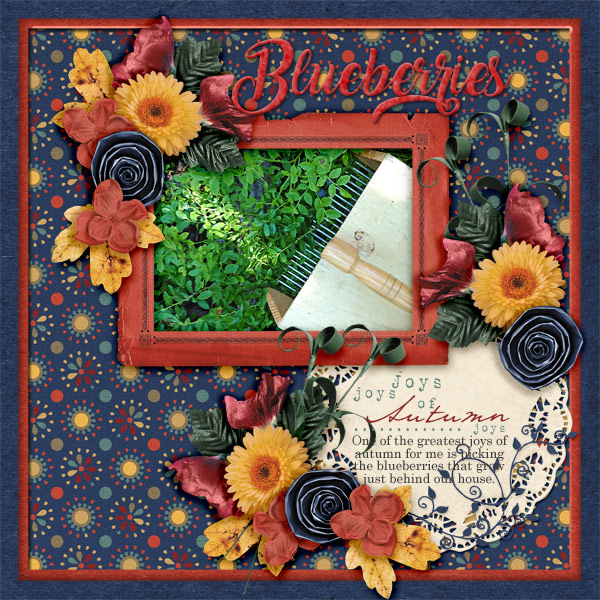 Blueberries2