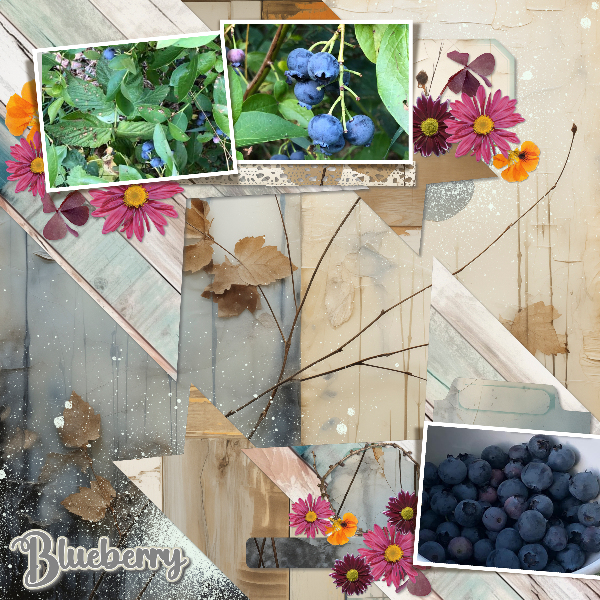 blueberries3