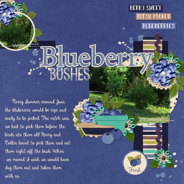 Blueberry Bushes